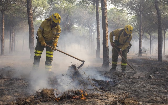 Pericial encargada por carbonera de Moguer apunta como causa del fuego a aplicación de una llama sobre el pasto