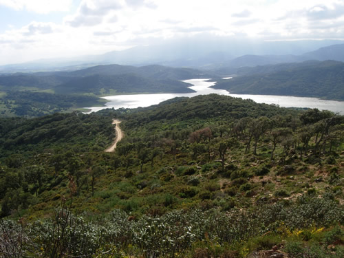 Andalucía. El Parque Natural de Los Alcornocales recibirá en cuatro años 278 millones