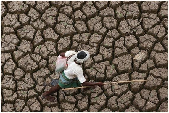 Migración Ambiental