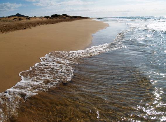 Andalucía se adhiere a la Carta Bolonia 2012