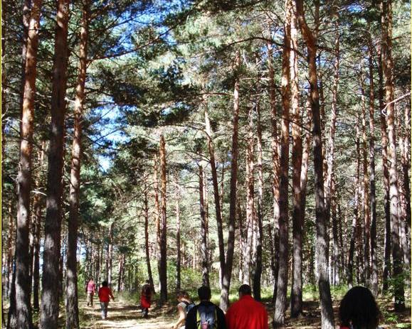 El Ministerio de Agricultura