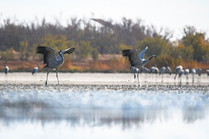 Defender los humedales es de vital importancia