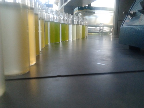 Proyecto ‘LIFE Integral Carbon’