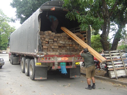 Tráfico de madera en el Huila va en ascenso