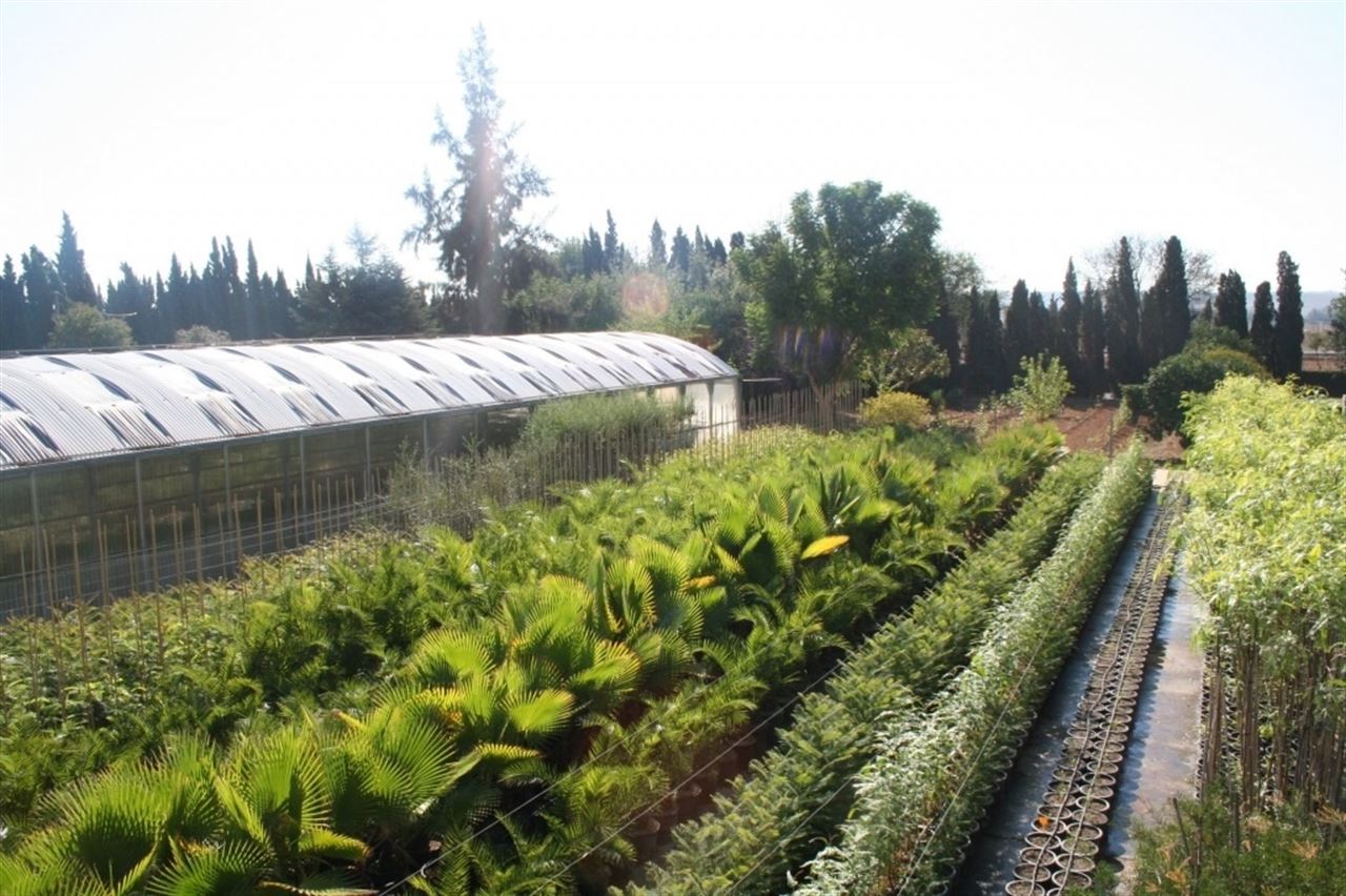 Suministro de árboles y arbustos para la provincia de Huelva