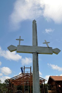 Haciendo que las leyes se cumplan en Brasil para avanzar con REDD+