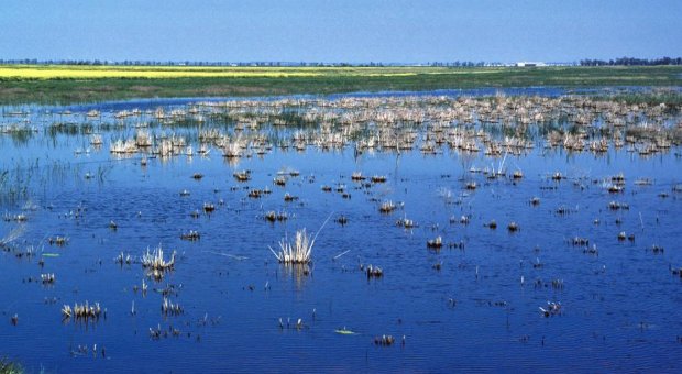 Andalucía aboga por la conservación de los ríos como única vía para mejorar su gestión
