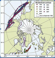 Una planta microscópica extinguida hace 800.000 años reaparece en el Atlántico