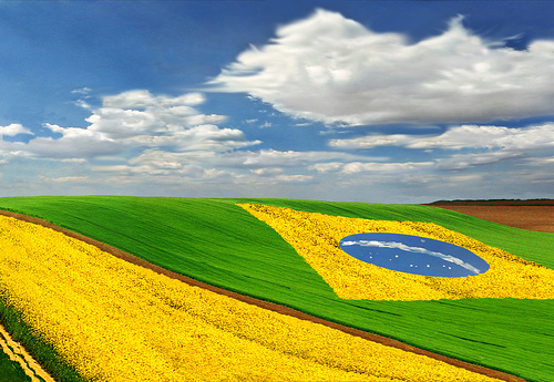 Existe conciencia colectiva sobre el problema del medio ambiente