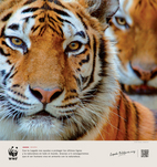 Exposición fotográfica: Firmarías por dejar un mundo mejor