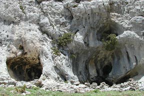El Consejo inicia el nuevo plan de ordenación de la Sierra de las Nieves para lograr su declaración como Parque Nacional