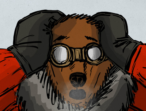 Conoces ‘El oso de Troya’