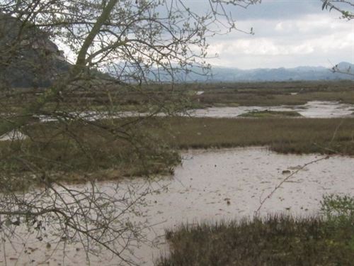 Arranca la primera fase de saneamiento de las marismas de Santoña