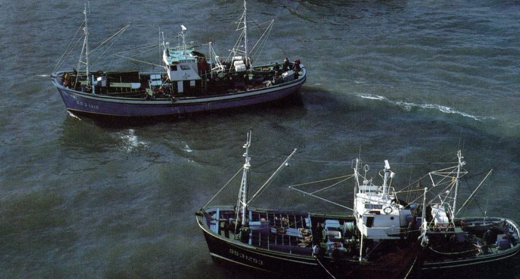 Europa quiere prohibir la pesca con redes de deriva