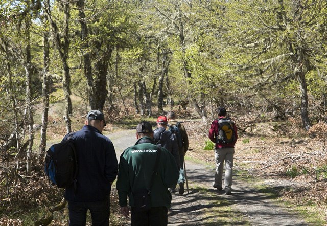 Fundación Biodiversidad ‘apuesta’ por la biodiversidad terrestre y marina de España y a proyectos Life