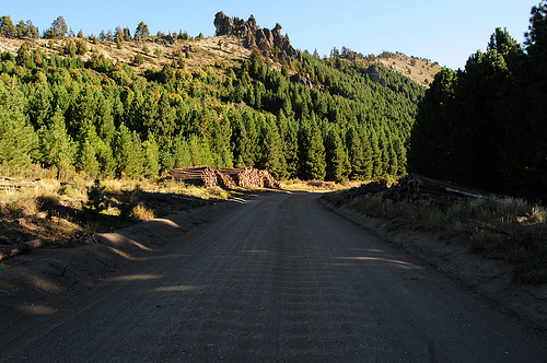 La pérdida de biodiversidad continúa aumentando