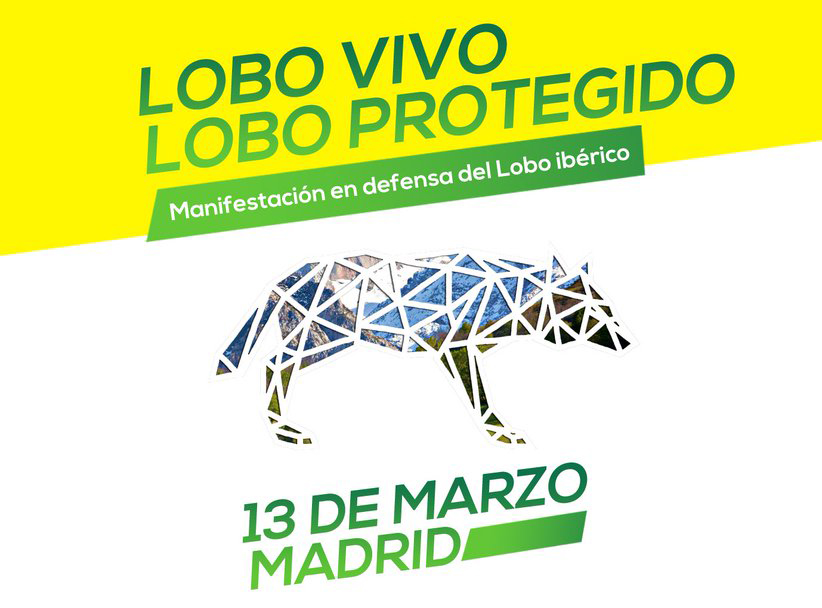 Únete a la manifestación en Madrid en defensa del lobo ibérico