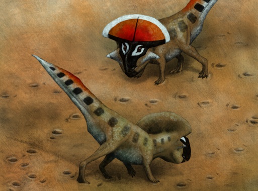 A los dinosaurios sí les importaba el tamaño de sus cuernos y crestas