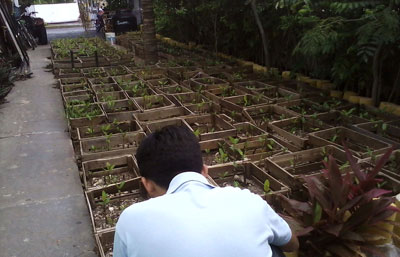 Luchan por restablecer humedales