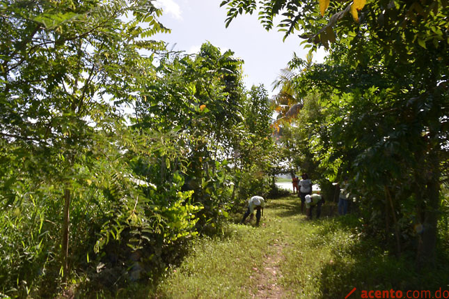 Medio Ambiente realizará un inventario forestal para evaluar los ecosistemas