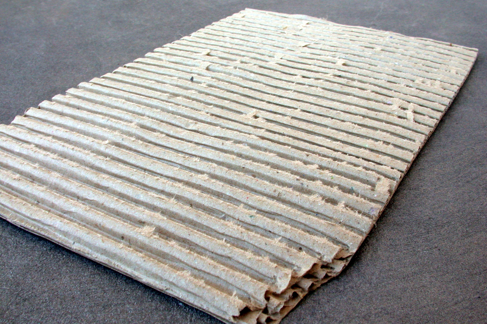 Desarrollan bioplásticos a partir de fibras de madera para su uso en embalajes y piezas de vehículos