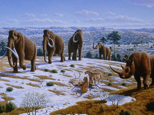 Mamuts y rinocerontes habitaron el noreste peninsular hace más de 40.000 años