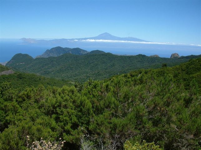 El Gobierno de Canarias crea un convenio de colaboración plurianual con las Reservas de la Biosfera