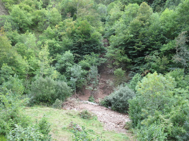 Ecuador recupera áreas naturales de provincia Guayas