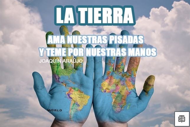 Las 10 frases para el Día Mundial de la Tierra