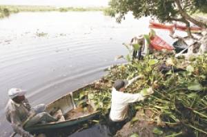 Desechos sólidos afectan los humedales del país