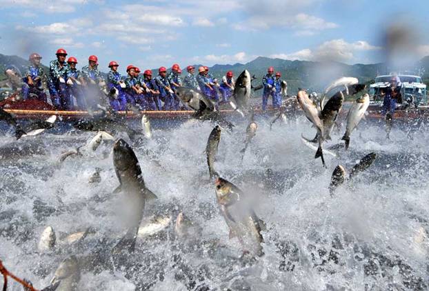 China ‘expolia’ los caladeros africanos