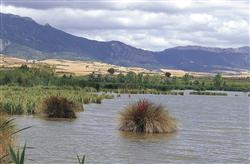 Los centros de interpretación ambiental del País Vasco destacan el valor ambiental de los humedales