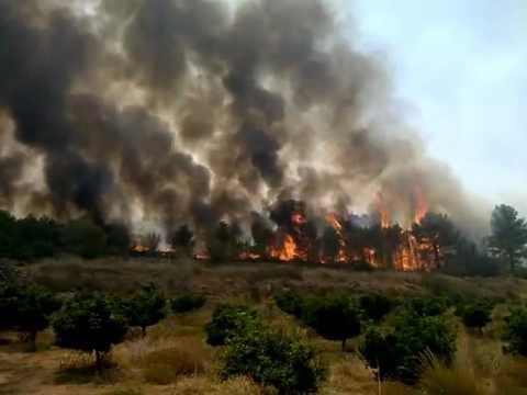 Un detenido por los incendios de Riba-roja y Vilamarxant (Valencia)
