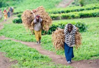 Inclusive and Green: Africa’s economic ‘makeover’