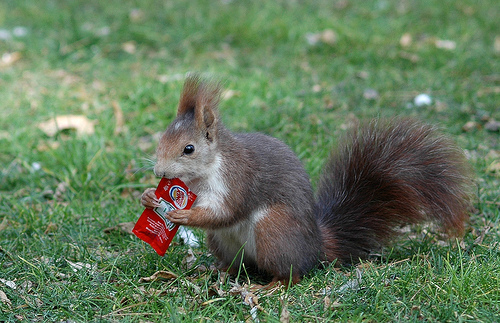 Jornadas red Natura 2000