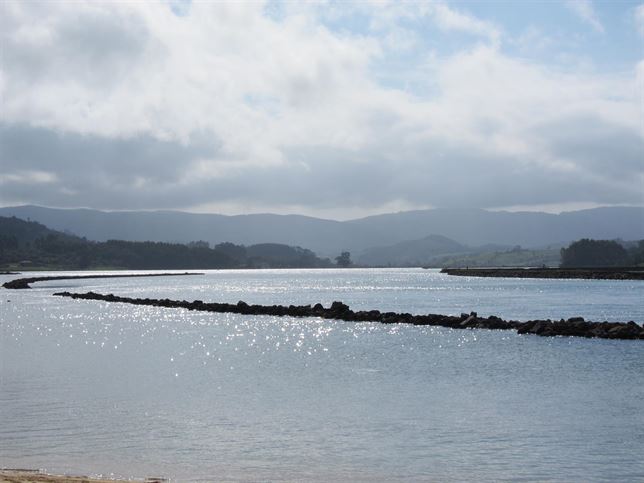 Sidra ‘El Gaitero’ contamina