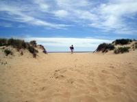 La conservación de las dunas costeras