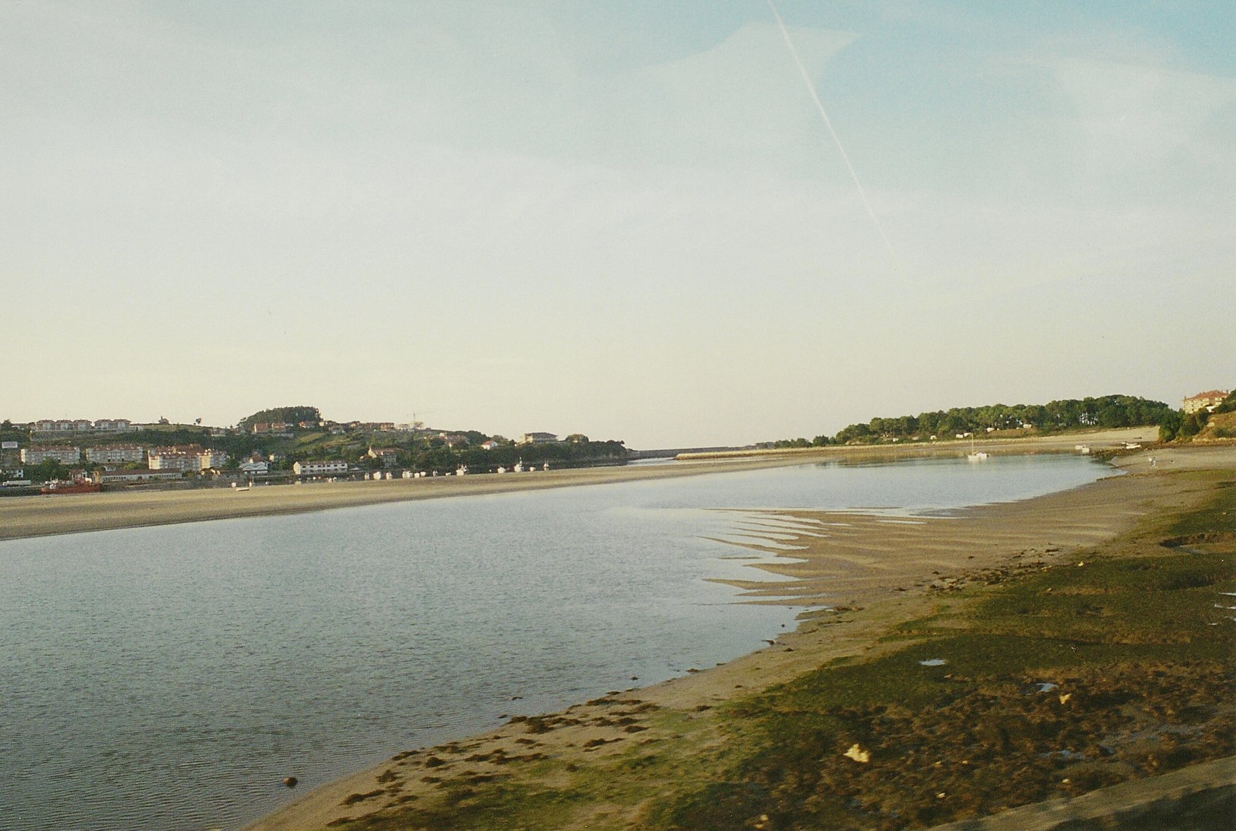 Los Scouts de Escobedo de Camargo realizarán este sábado una plantación en La Ría por el Día del Árbol