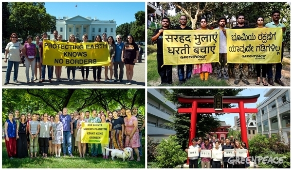 Greenpeace Hungría podría desaparecer