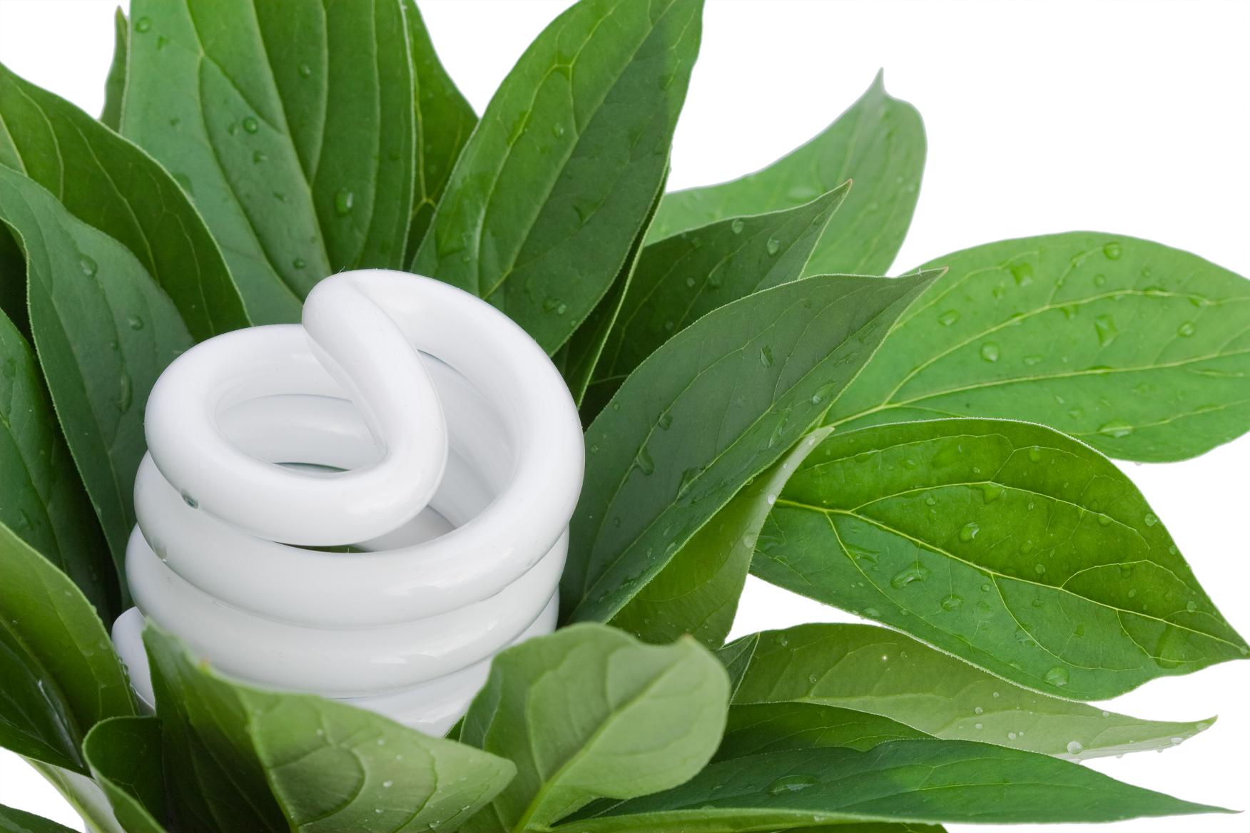 Las lámparas recicladas por AMBILAMP evitan la emisión de 330.000 toneladas de co2 a la atmósfera