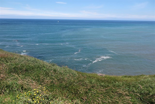 XsP ve "inconcebible" que no se haya tomado medida alguna para frenar la contaminación al Cantábrico