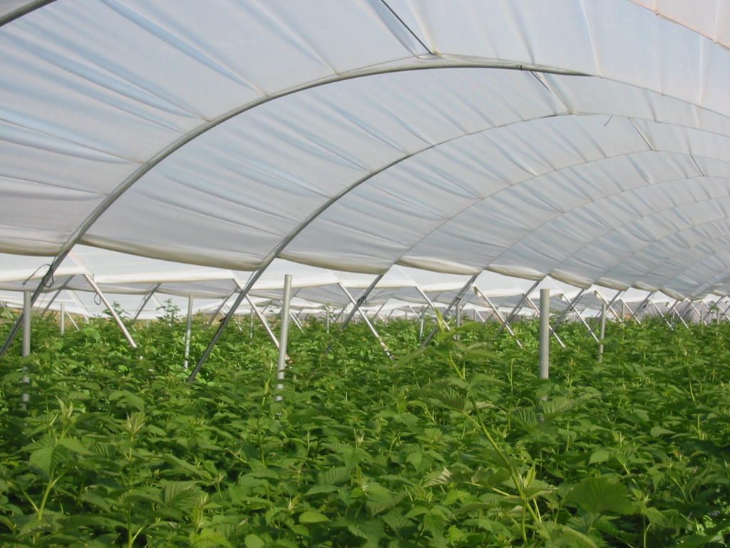 AIMPLAS y CICLOPLAST abordarán los falsos mitos sobre los plásticos en EQUIPLAST