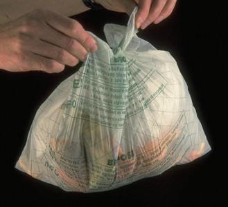 Sector público deberá utilizar bolsas biodegradables para promover cuidado del ambiente