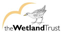 Últimos 4 cupos para VI curso de anillamiento