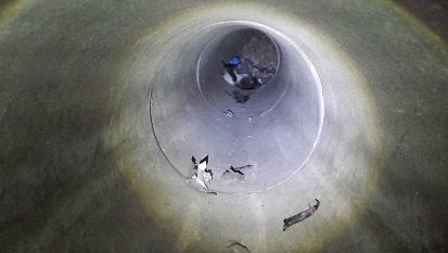 No te pierdas el VIDEO del rescate de un gatito atrapado