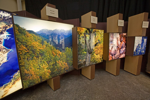 Oviedo. Exposición El Bosque. Mucho más que madera