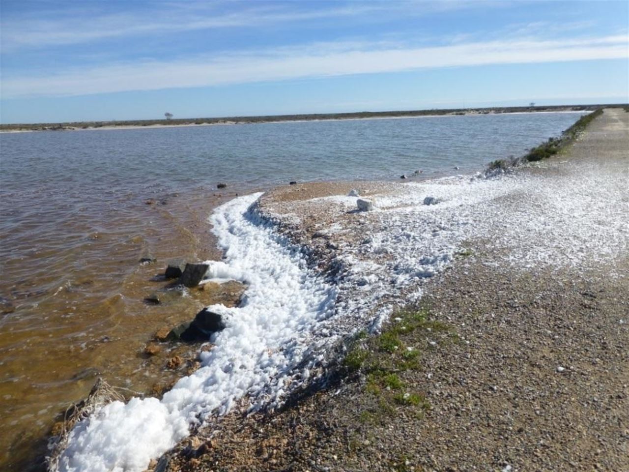 Murcia. La espuma blanca de las charcas de las Salinas de San Pedro se debe a un proceso natural