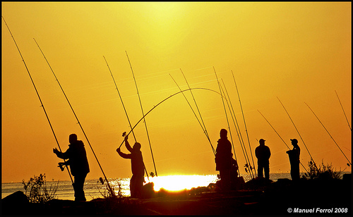 WWF: Las decisiones del Consejo de Pesca son oportunistas y una mala señal hacia la reforma de la PCP