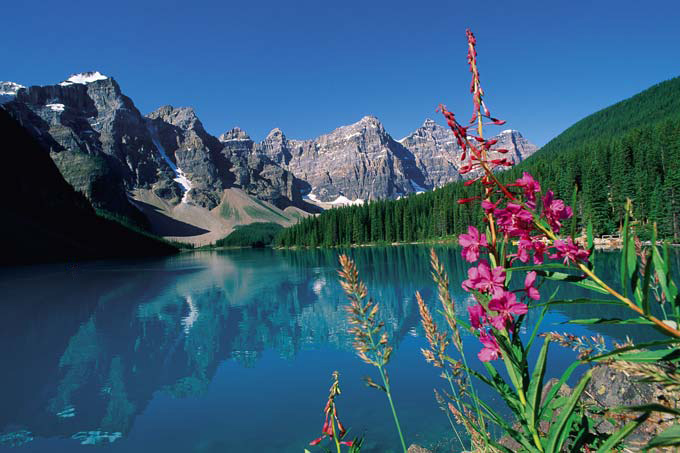 Sensores inalámbricos para analizar la calidad medioambiental en tiempo real