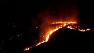 Arden tres hectáreas de arbolado en un incendio intencionado en Toro (Zamora)